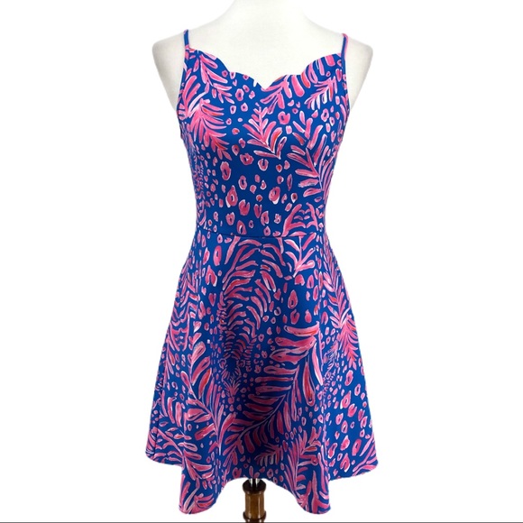 Lilly Pulitzer Other - Lilly Pulitzer Pundy Blue La Zebra Breelyn Dress